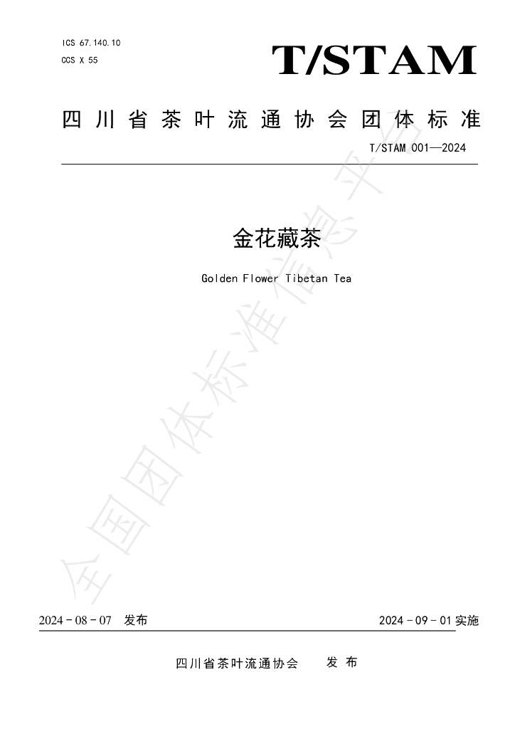 T/STAM 001-2024 标准预览