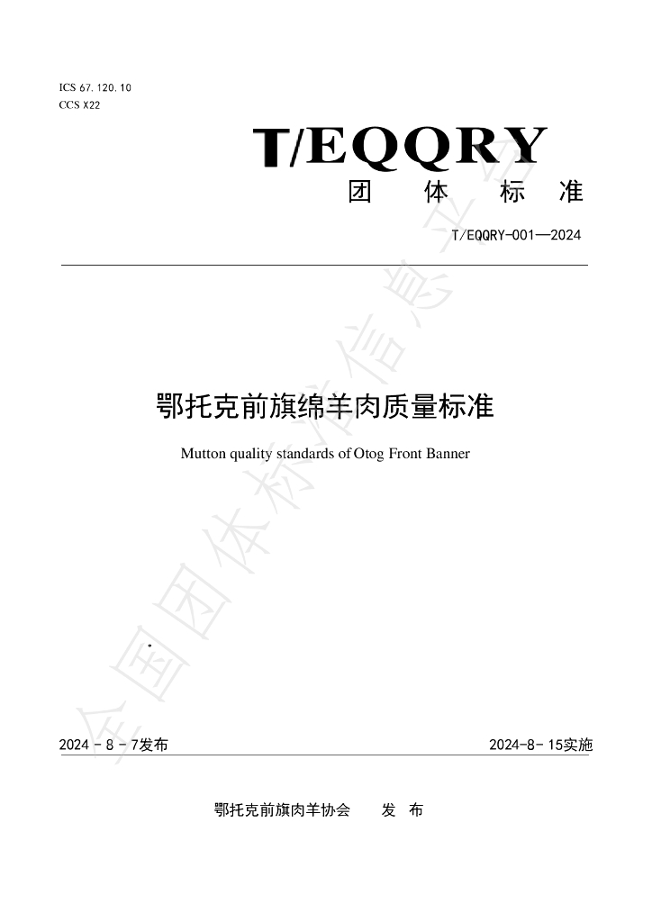 T/EQQRY 001-2024 标准预览