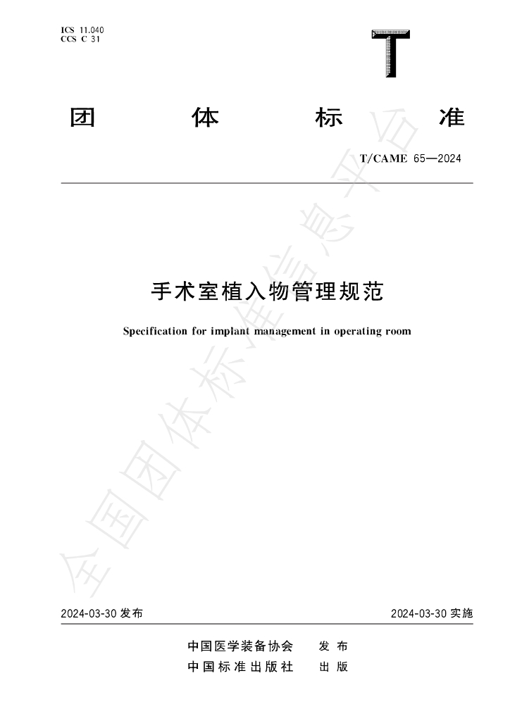 T/CAME 65-2024 标准预览