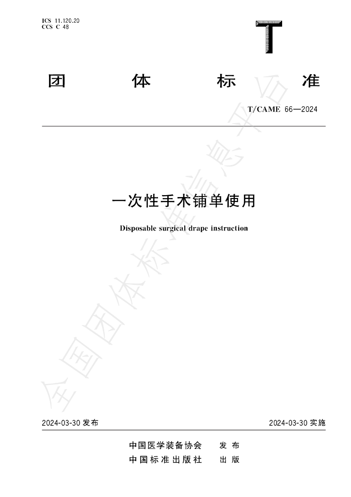 T/CAME 66-2024 标准预览