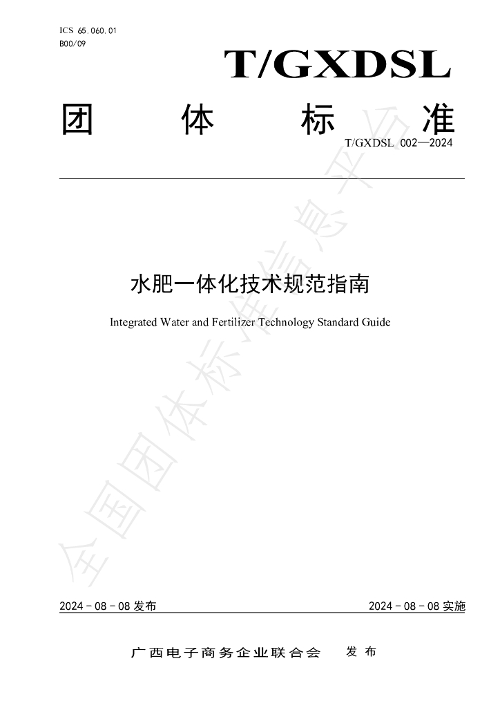 T/GXDSL 002-2024 标准预览