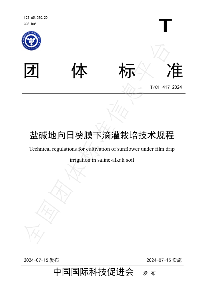 T/CI 417-2024 标准预览