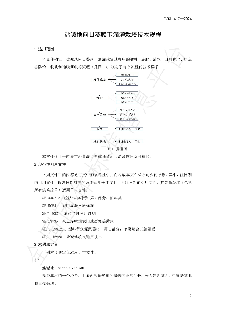 T/CI 417-2024 标准预览