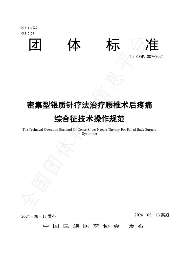 T/CEMA 007-2024 标准预览