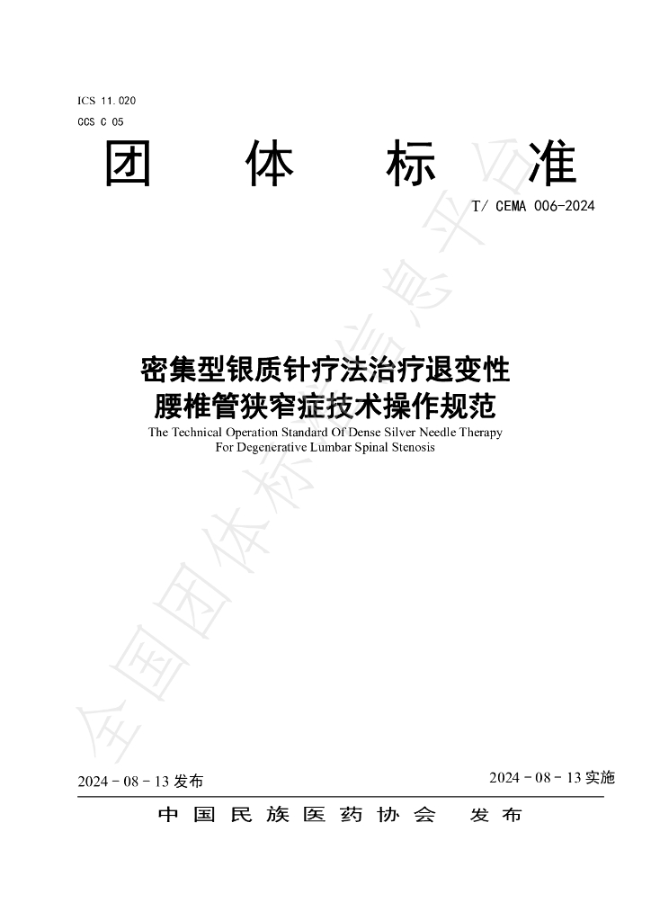 T/CEMA 006-2024 标准预览