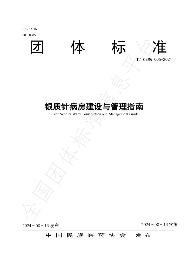 T/CEMA 005-2024 标准预览