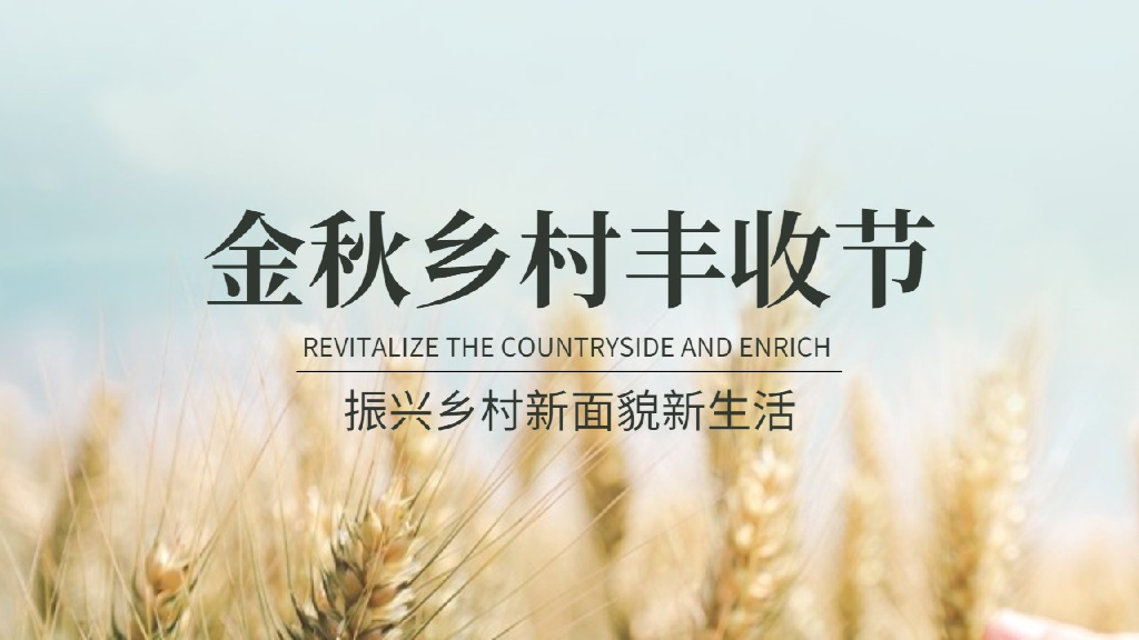 金秋乡村丰收节活动策划方案