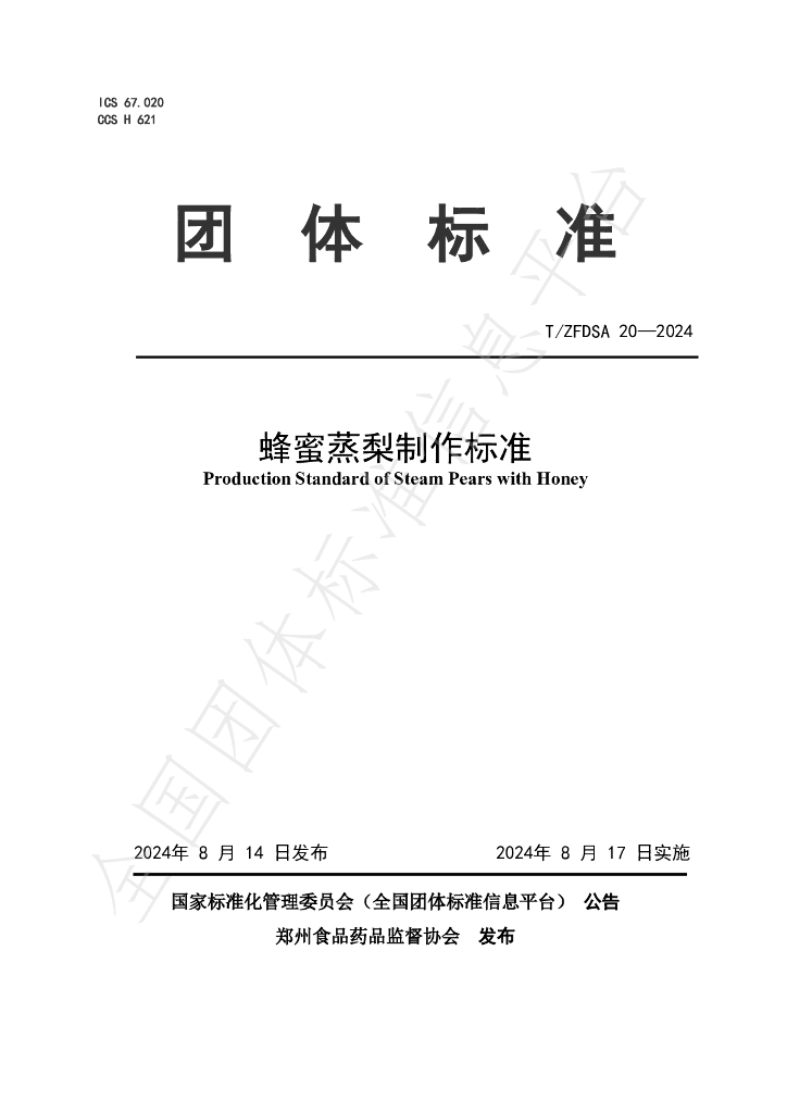 T/ZFDSA 20-2024 标准预览