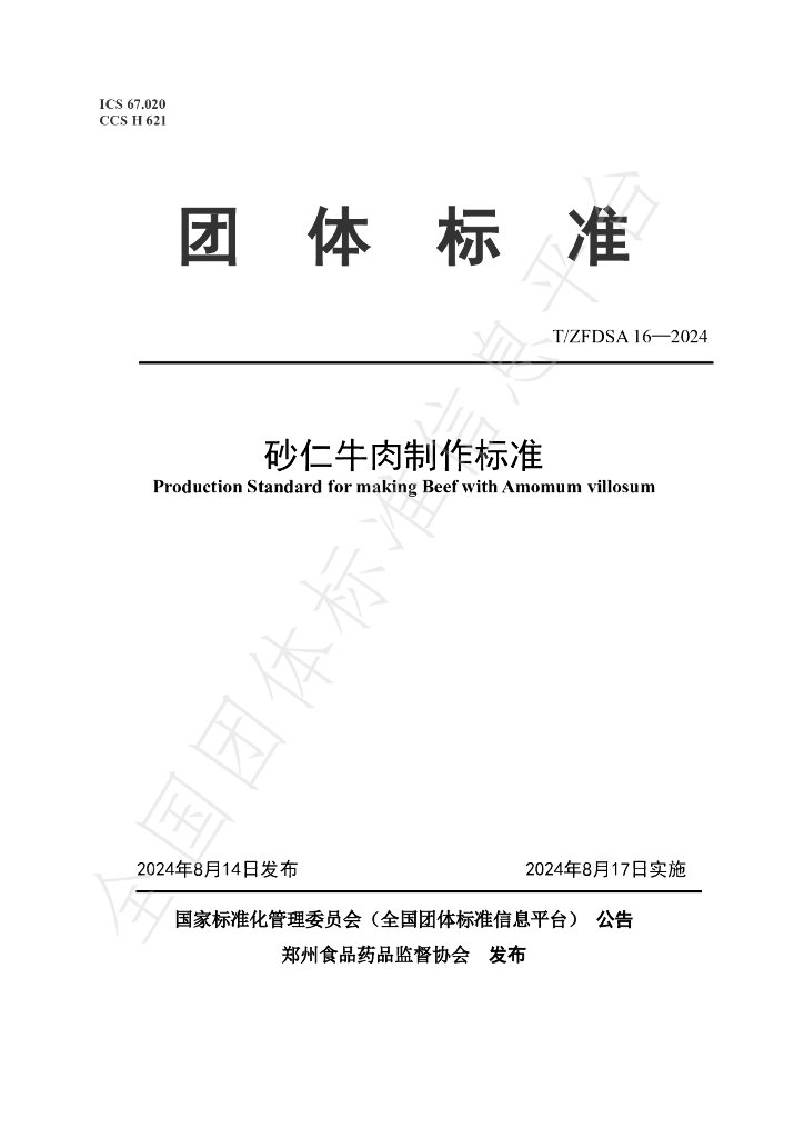 T/ZFDSA 16-2024 标准预览