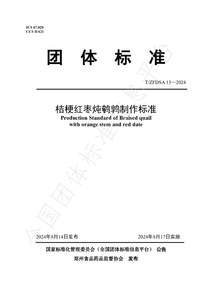T/ZFDSA 13-2024 标准预览
