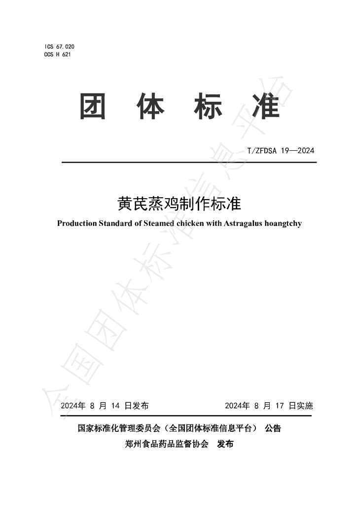 T/ZFDSA 19-2024 标准预览