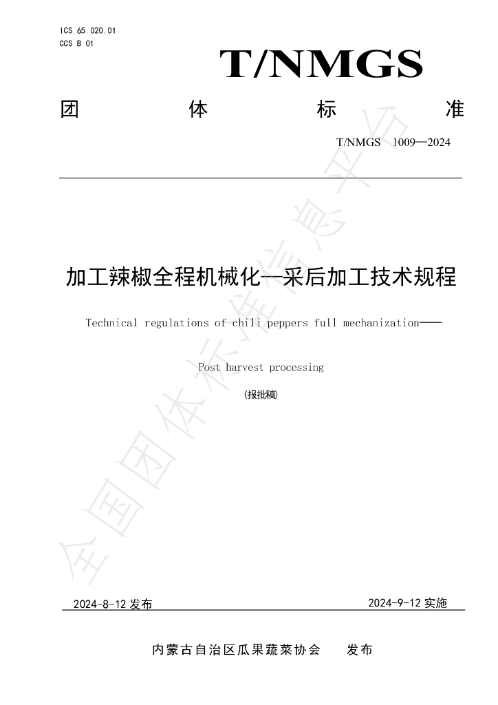 T/NMGS 1009-2024 标准预览