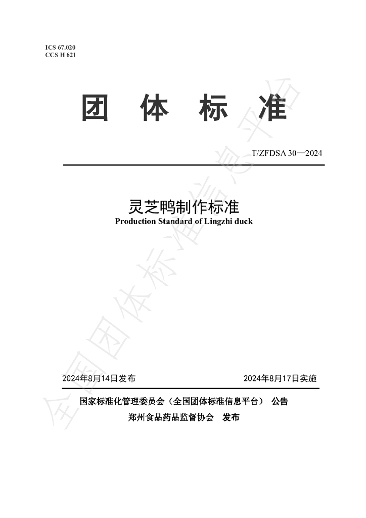 T/ZFDSA 30-2024 标准预览
