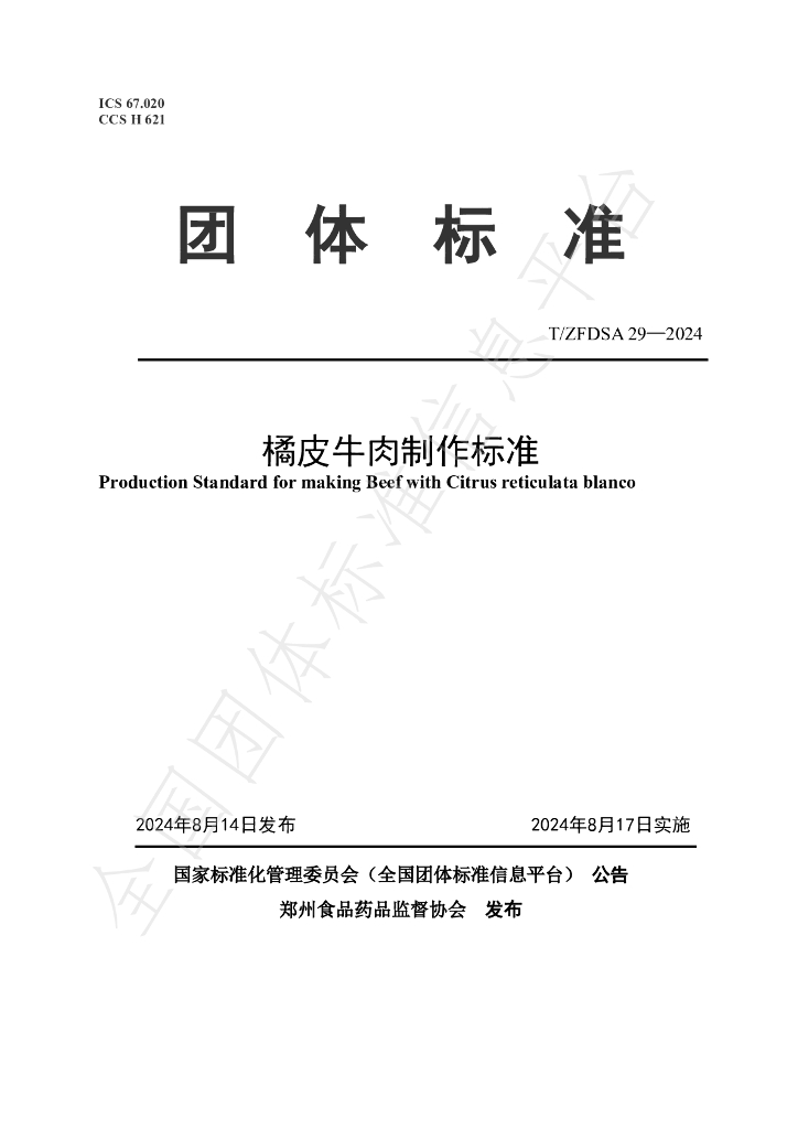 T/ZFDSA 29-2024 标准预览