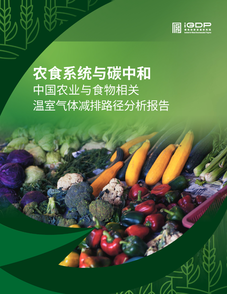 绿色创新发展研究院（iGDP）：2023农食系统与<em>碳中和</em>——中国农业与食物相关温室气体减排路径分析报告 海报