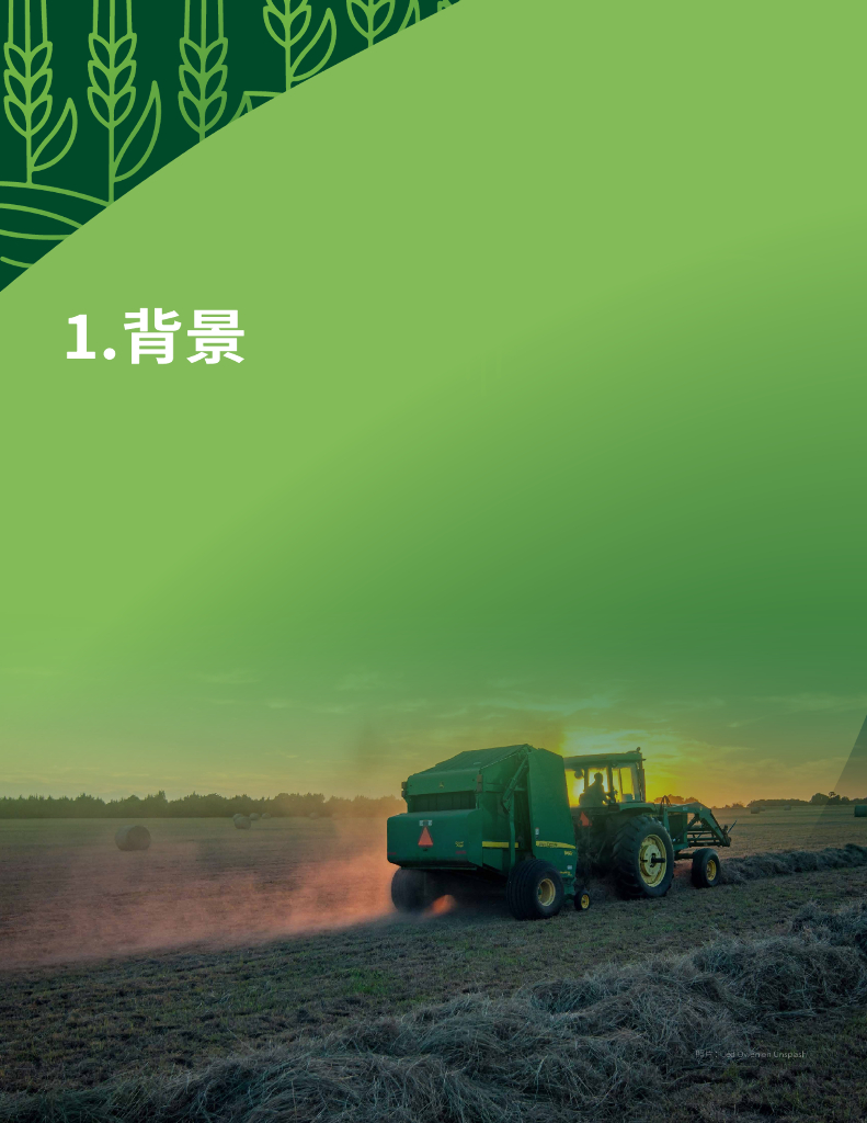 绿色创新发展研究院（iGDP）：2023农食系统与碳中和——中国农业与食物相关温室气体减排路径分析报告_第10页