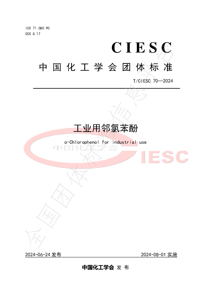 T/CIESC 70-2024 标准预览