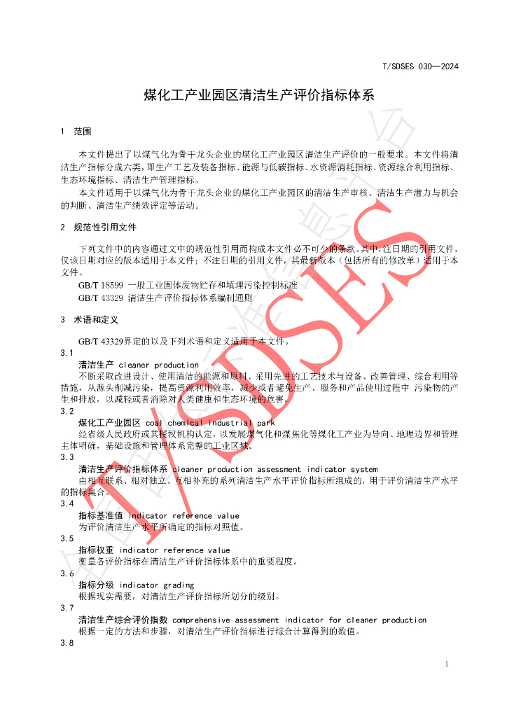 T/SDSES 030-2024 标准预览