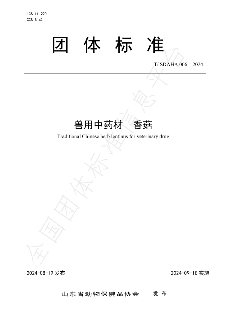 T/SDAHA 006-2024 标准预览