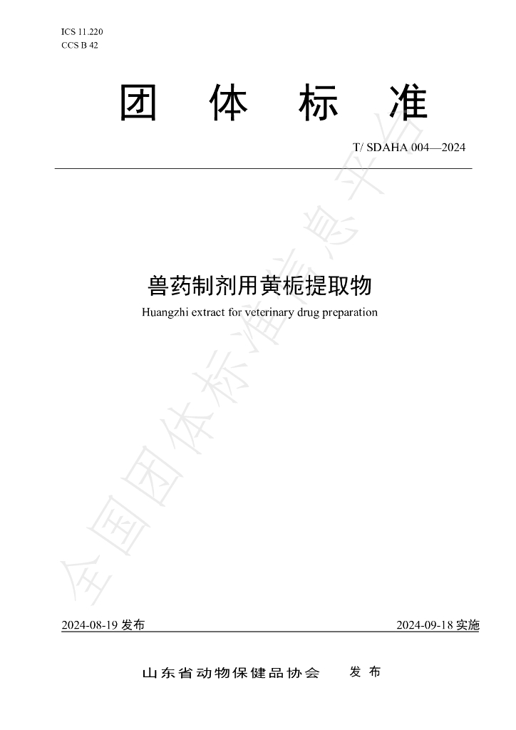T/SDAHA 004-2024 标准预览