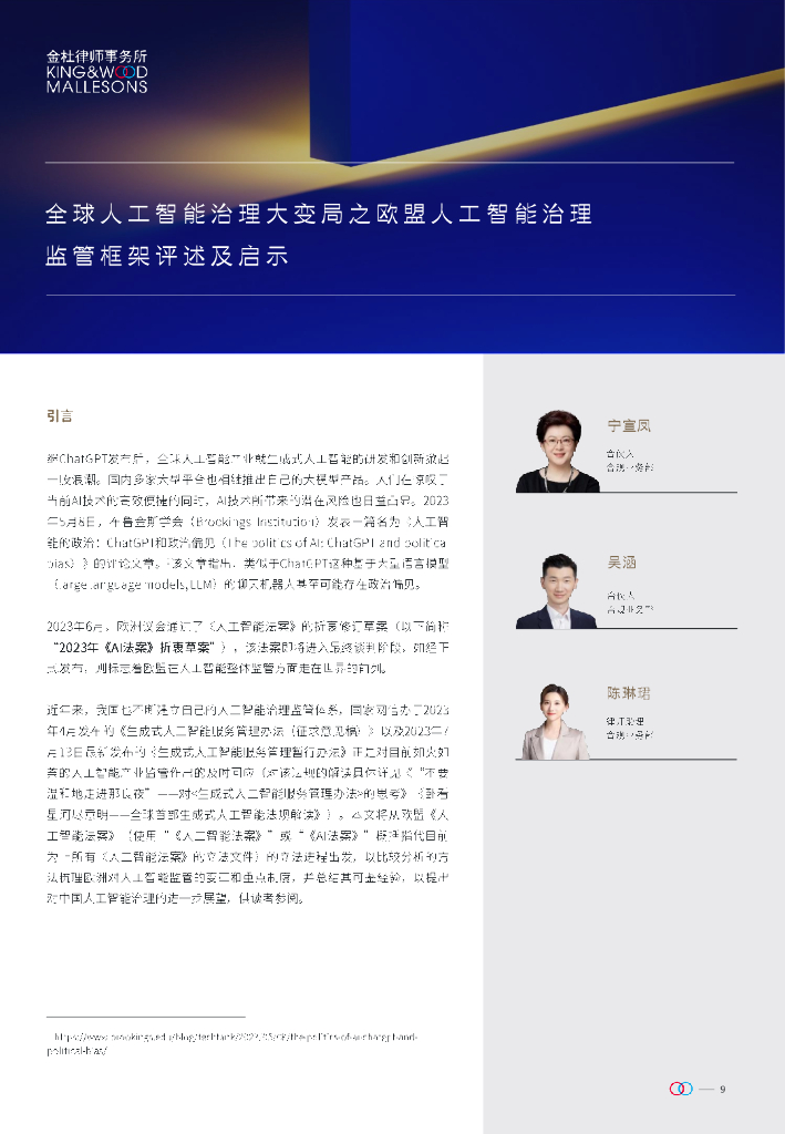金杜律师事务所：2024深度解析欧盟《人工智能法案》+文章合集_第9页