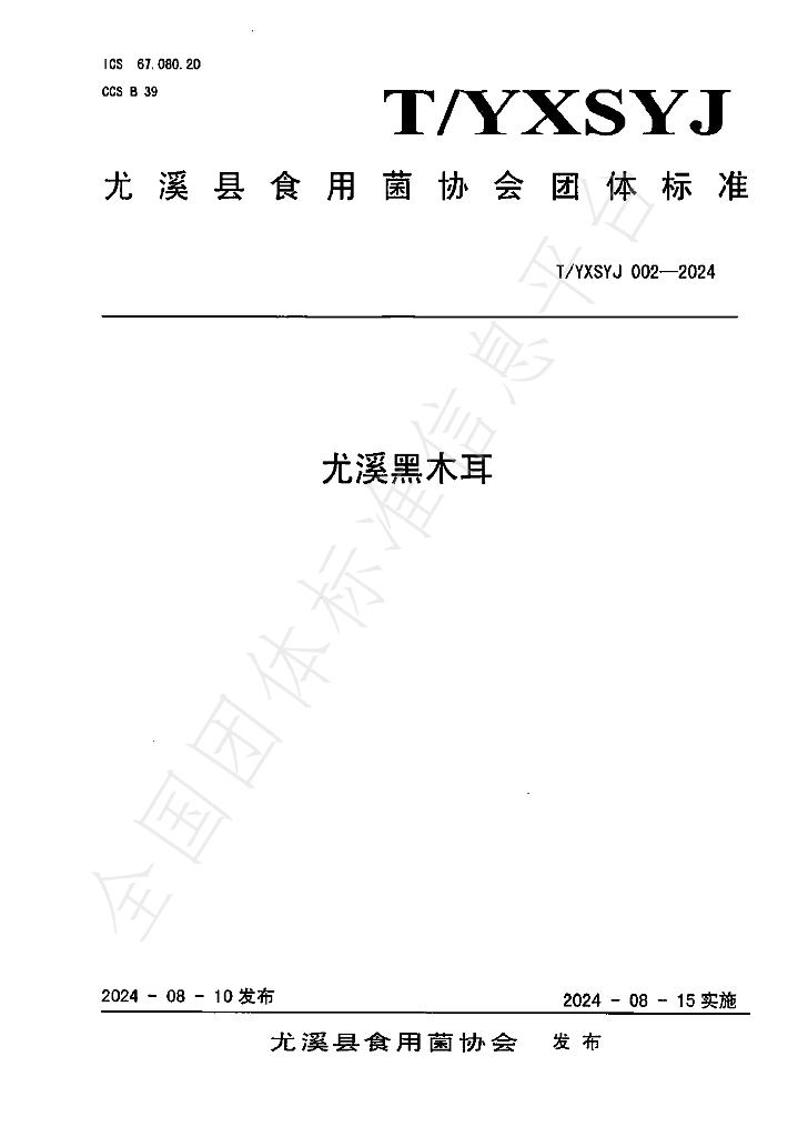 T/YXSYJ 002-2024 标准预览
