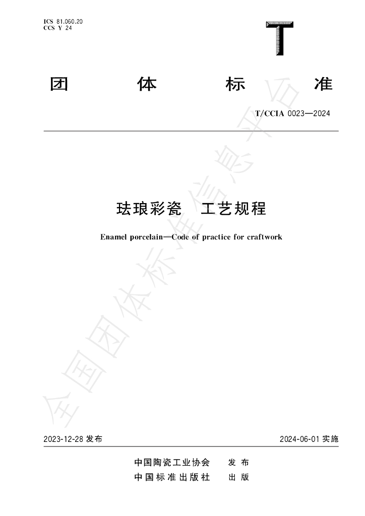 T/CCIA 0023-2024 标准预览