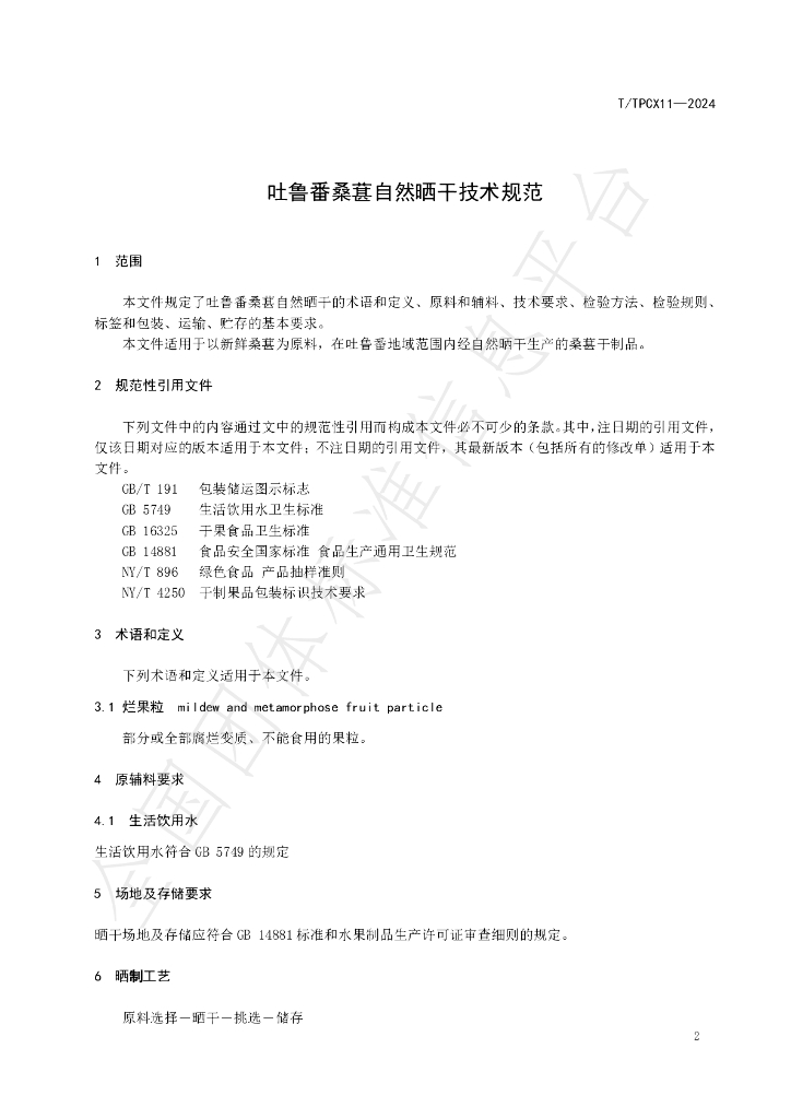 T/TPCX 11-2024 标准预览