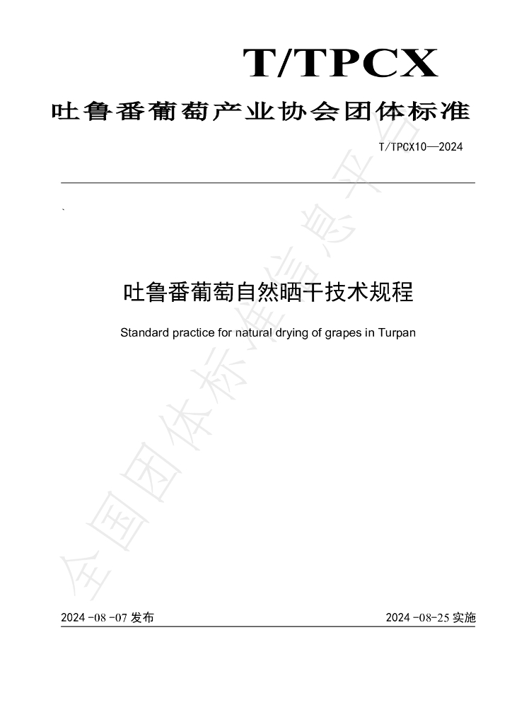 T/TPCX 10-2024 标准预览