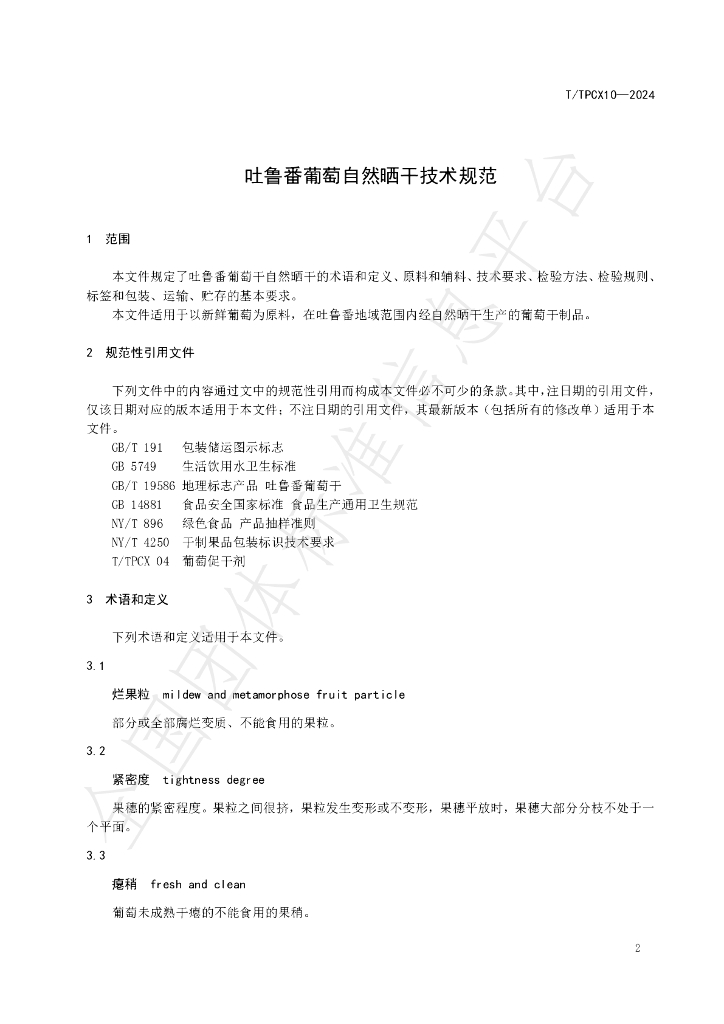 T/TPCX 10-2024 标准预览