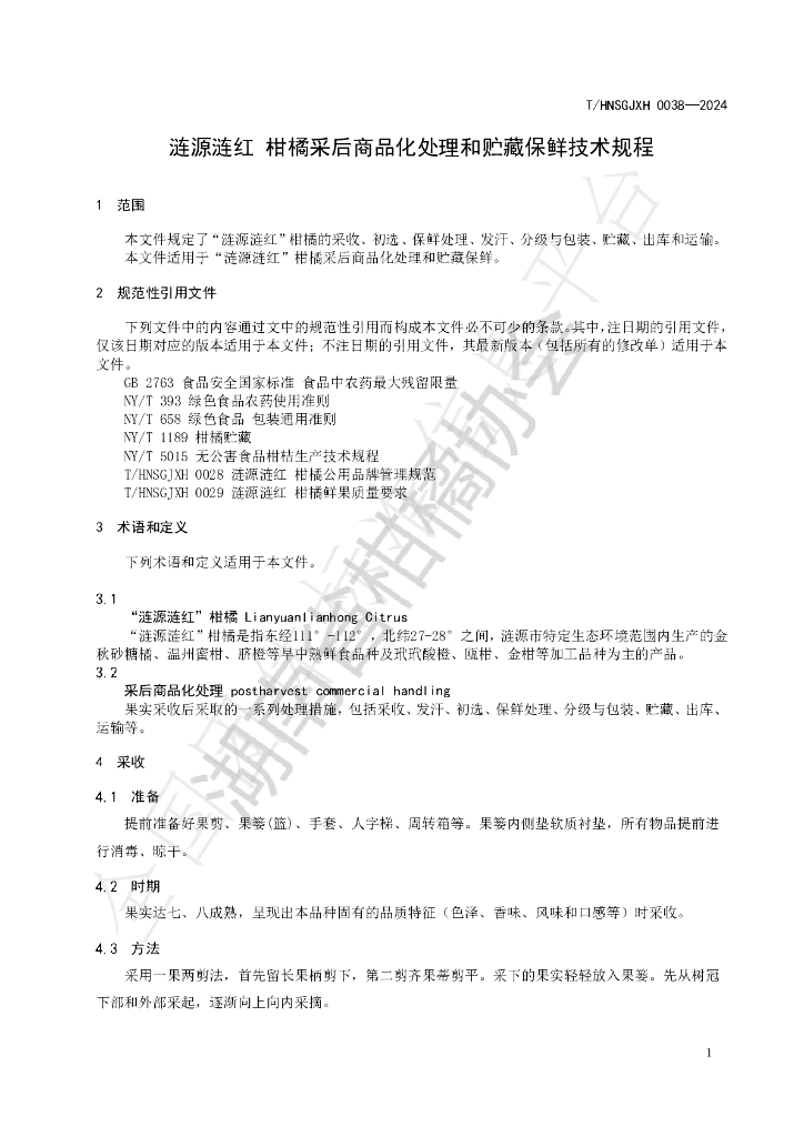 T/HNSGJXH 0038-2024 标准预览