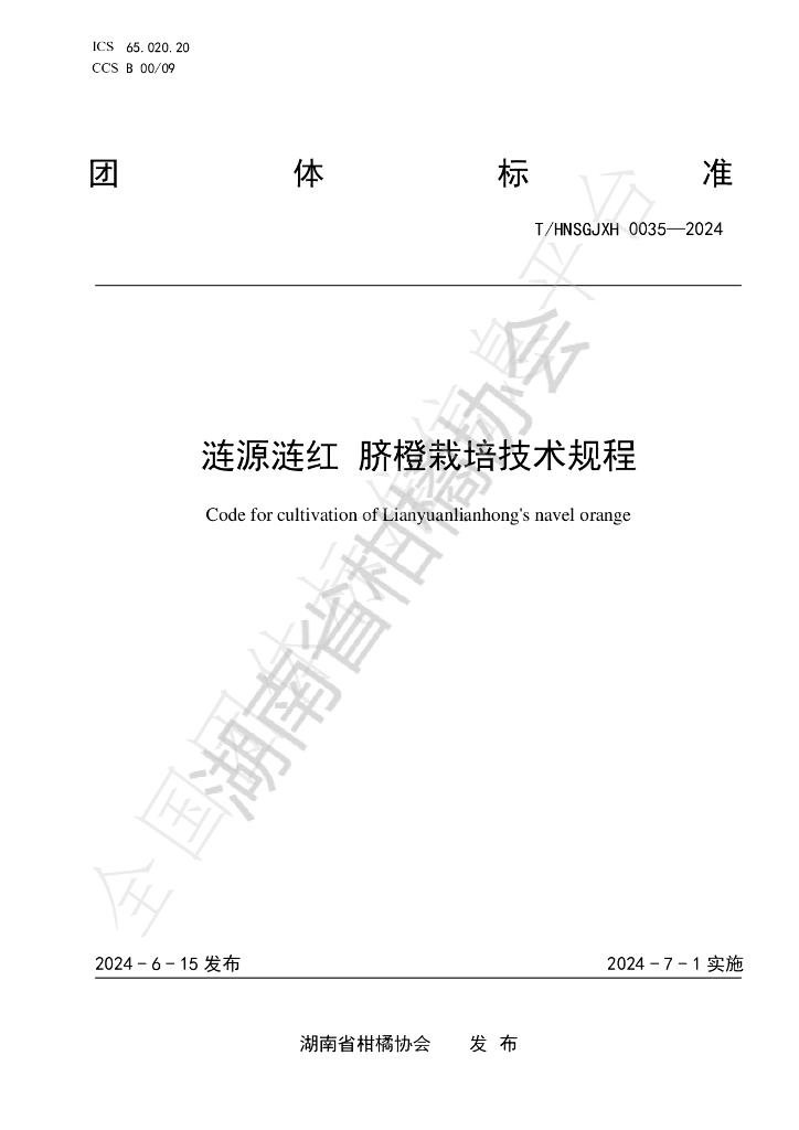 T/HNSGJXH 0035-2024 标准预览