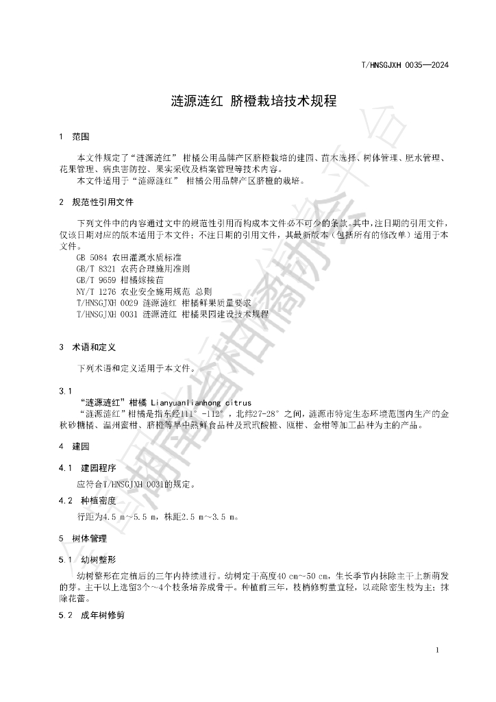 T/HNSGJXH 0035-2024 标准预览