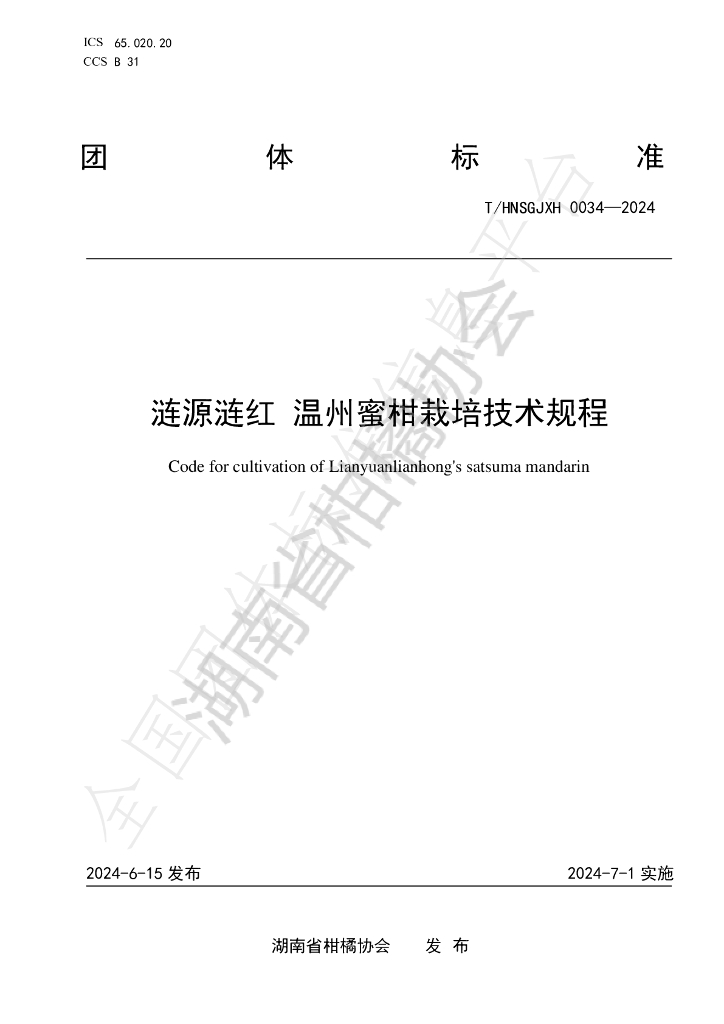 T/HNSGJXH 0034-2024 标准预览