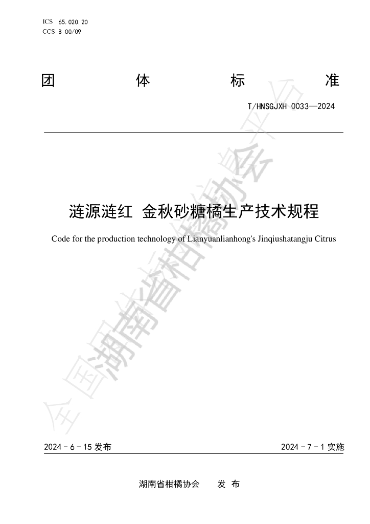 T/HNSGJXH 0033-2024 标准预览