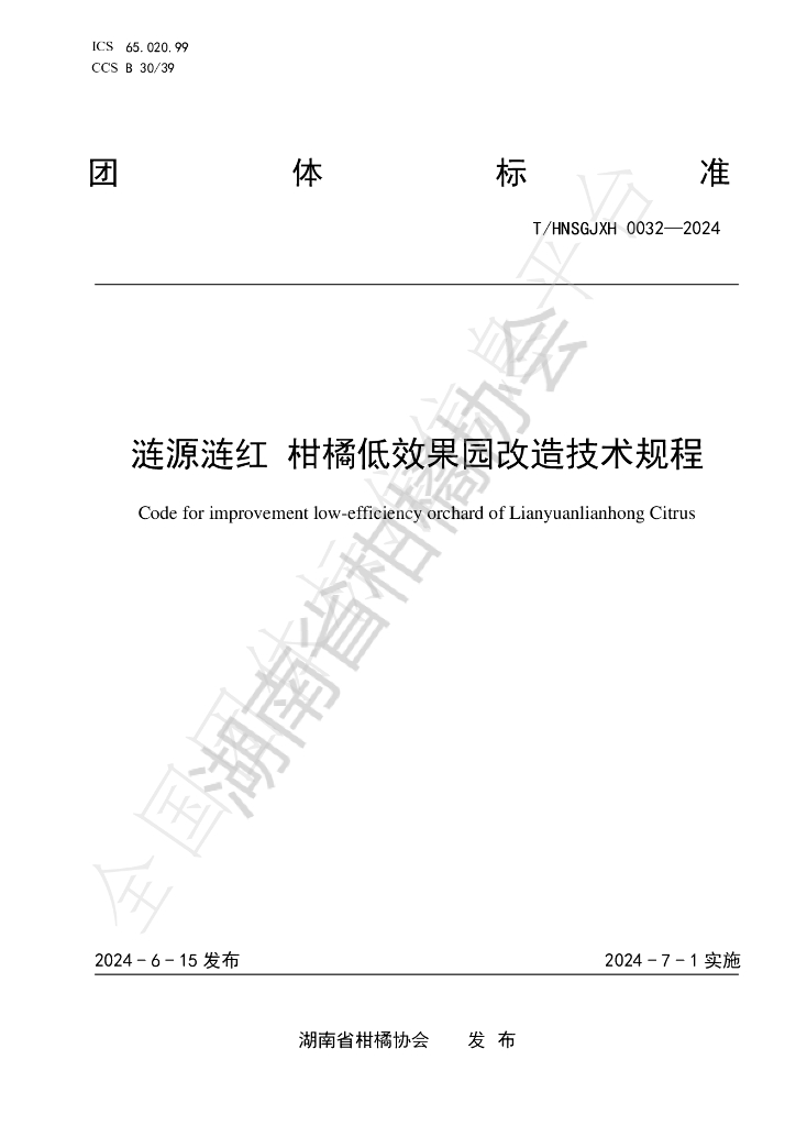 T/HNSGJXH 0032-2024 标准预览