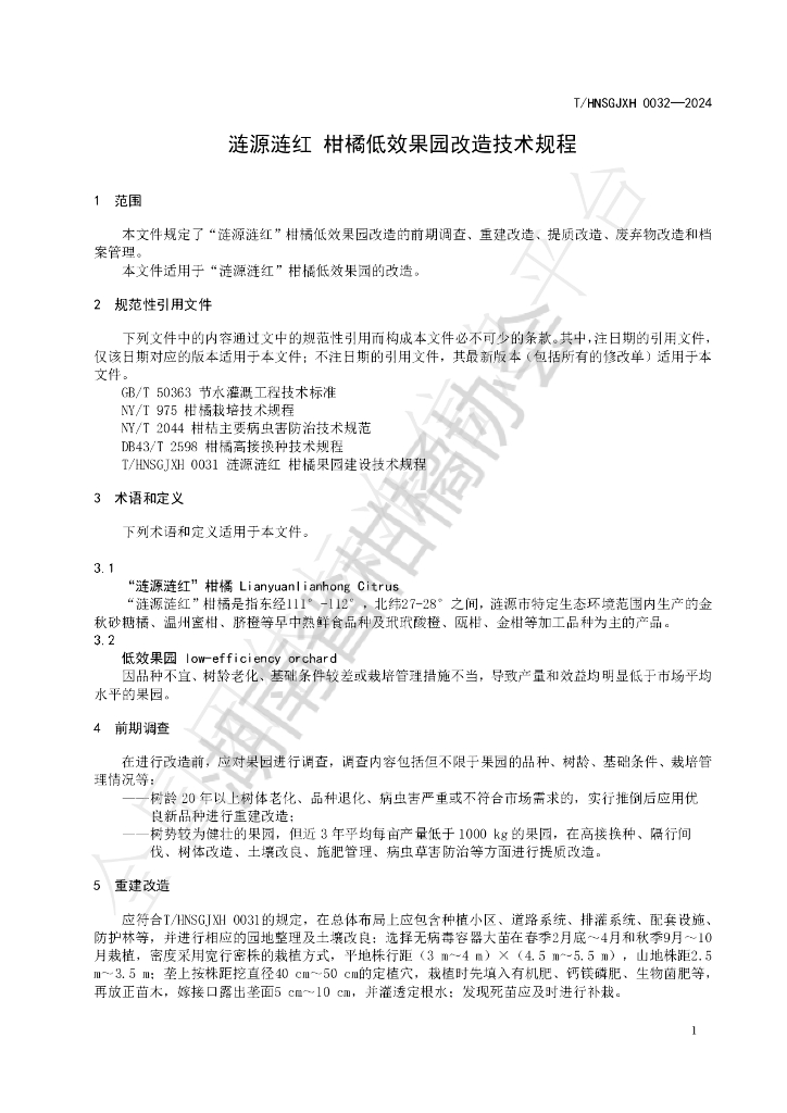T/HNSGJXH 0032-2024 标准预览