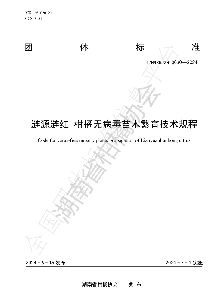 T/HNSGJXH 0030-2024 标准预览