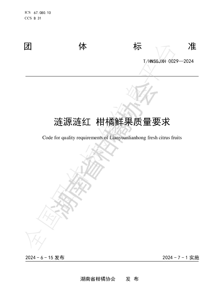 T/HNSGJXH 0029-2024 标准预览