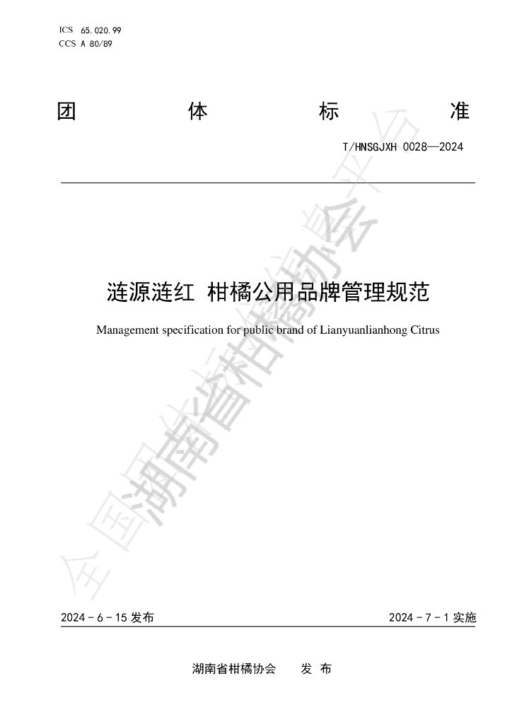 T/HNSGJXH 0028-2024 标准预览