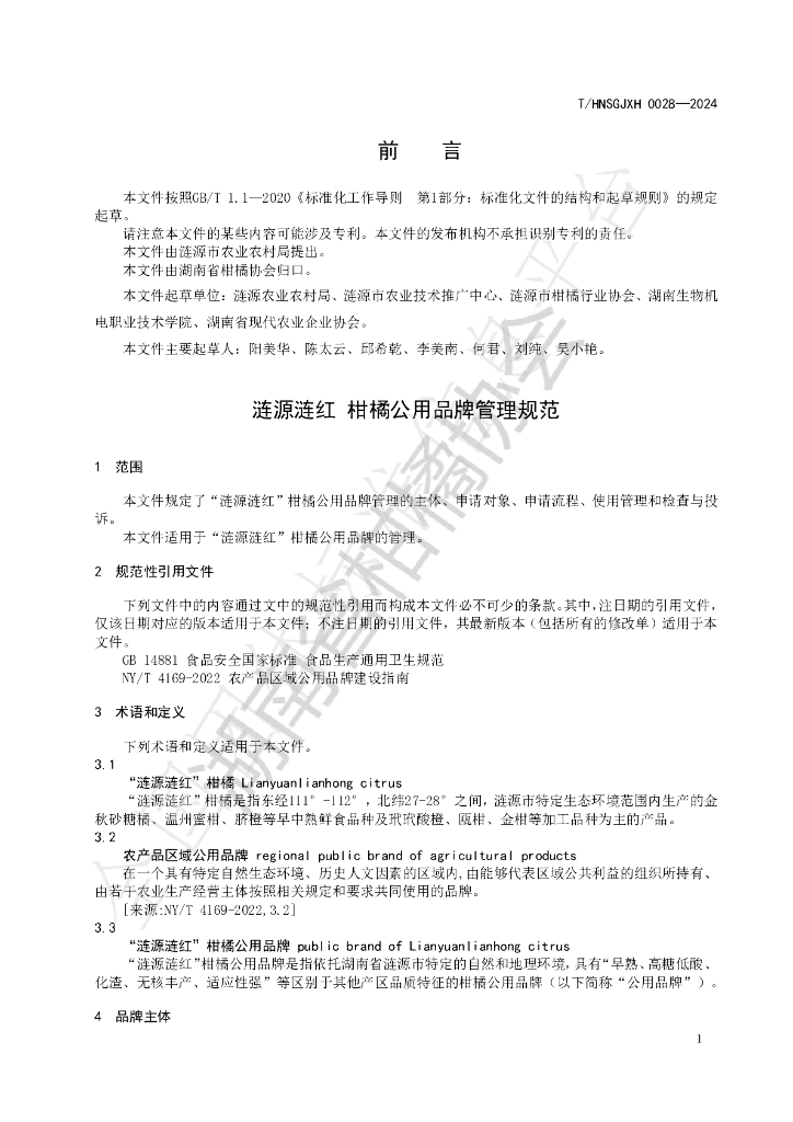 T/HNSGJXH 0028-2024 标准预览