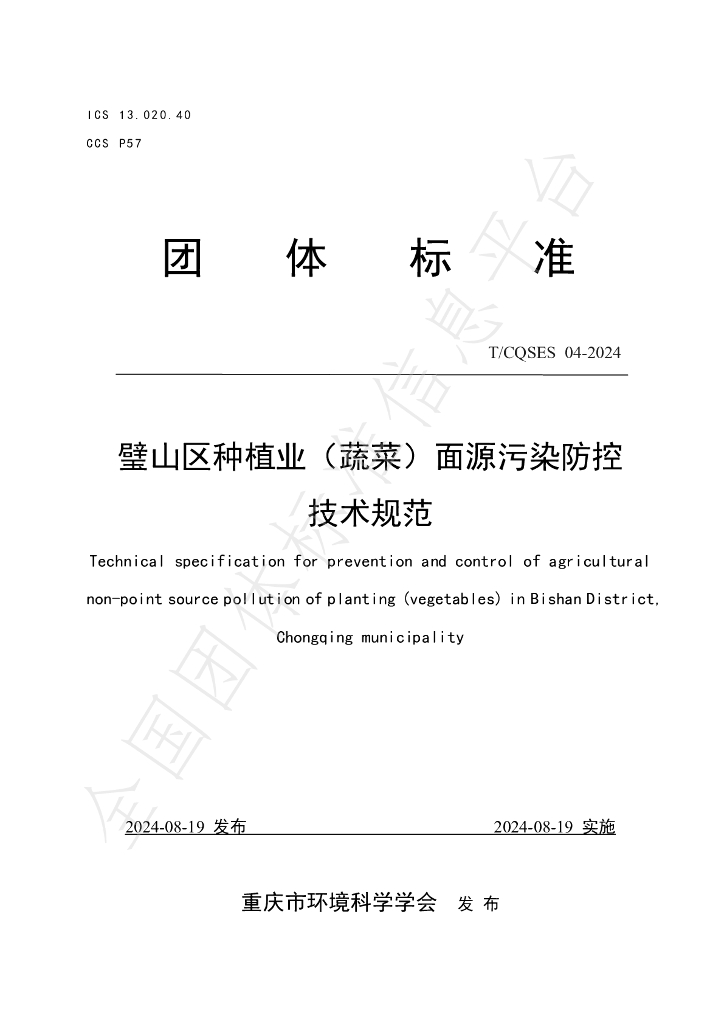 T/CQSES 04-2024 标准预览