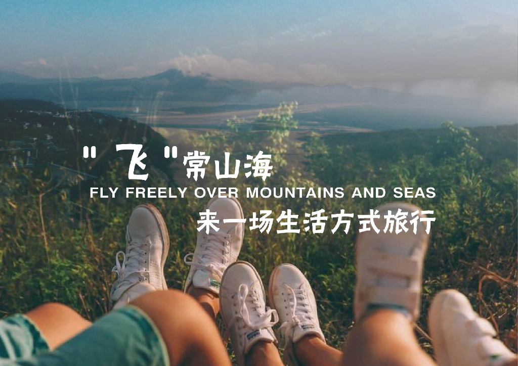 滨海渔村乡村振兴文旅项目定位规划方案_第2页