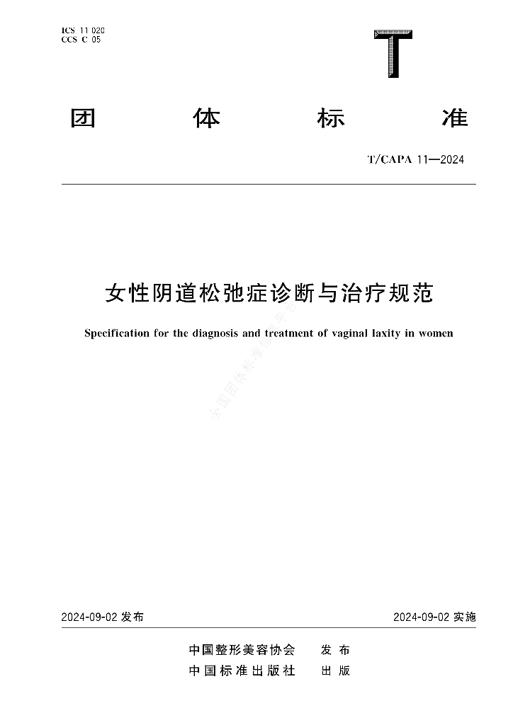 T/CAPA 11-2024 标准预览