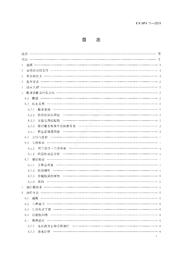 T/CAPA 11-2024 标准预览