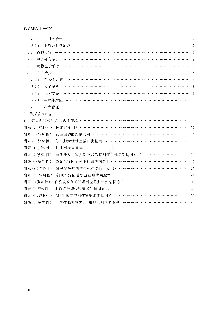 T/CAPA 11-2024 标准预览