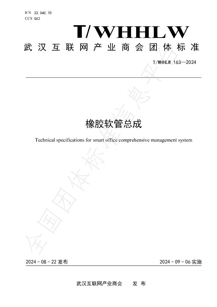 T/WHHLW 163-2024 标准预览