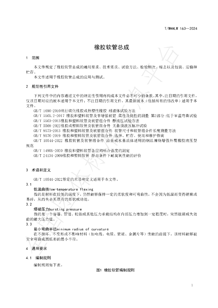 T/WHHLW 163-2024 标准预览