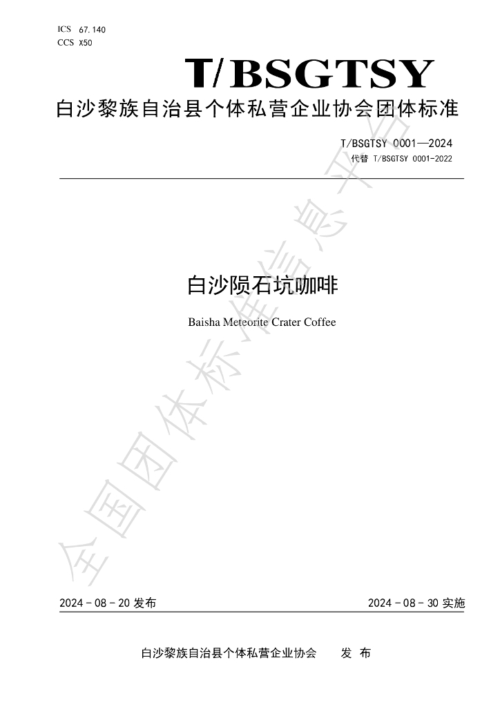 T/BSGTSY 0001-2024 标准预览