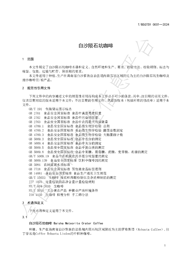 T/BSGTSY 0001-2024 标准预览